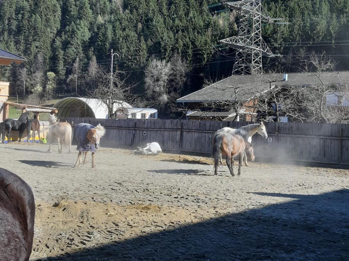 B&B Margit'S Ranch Urlaub Am Pferdehof Silz Екстериор снимка