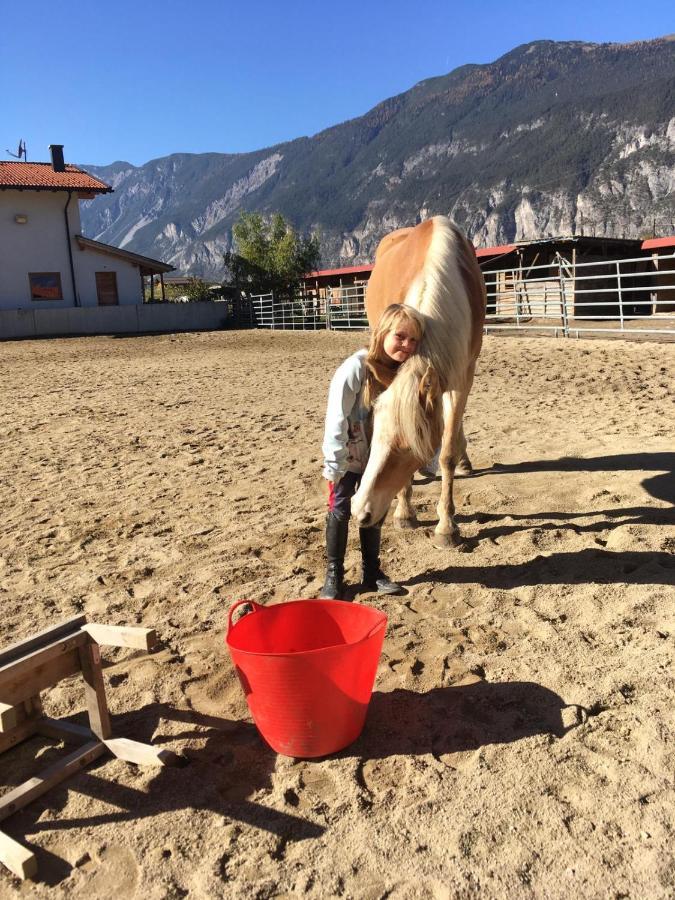 B&B Margit'S Ranch Urlaub Am Pferdehof Silz Екстериор снимка