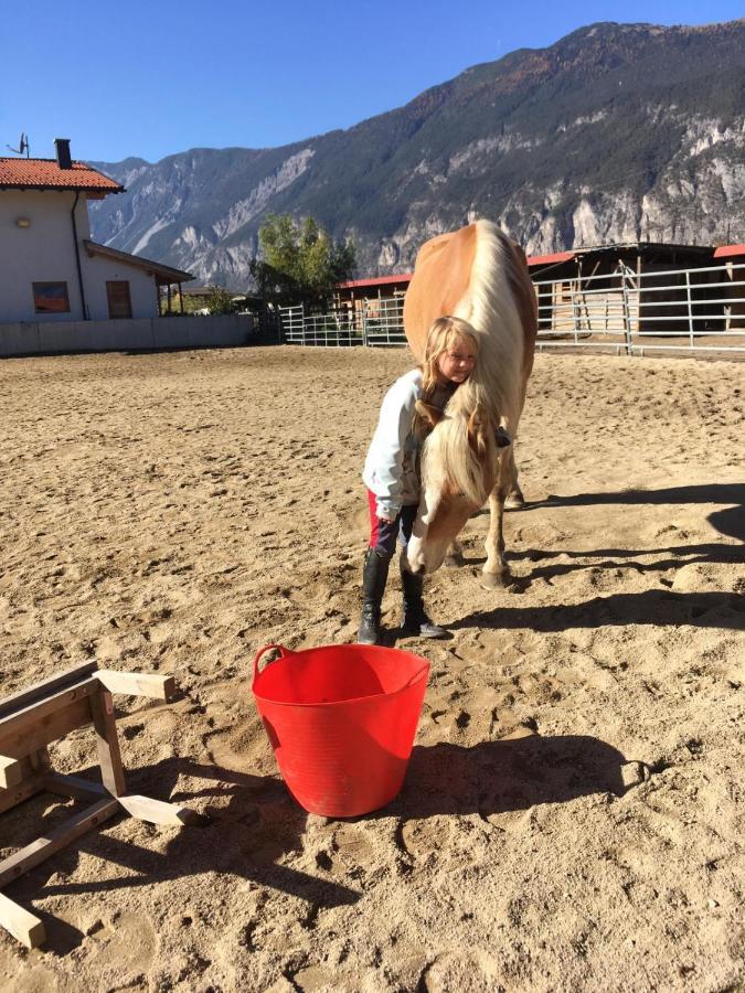 B&B Margit'S Ranch Urlaub Am Pferdehof Silz Екстериор снимка